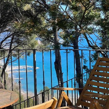 Torre Alpicella Holiday Home, A Scenic Escape Into Nature And Relaxation 迪亚诺马里纳 外观 照片
