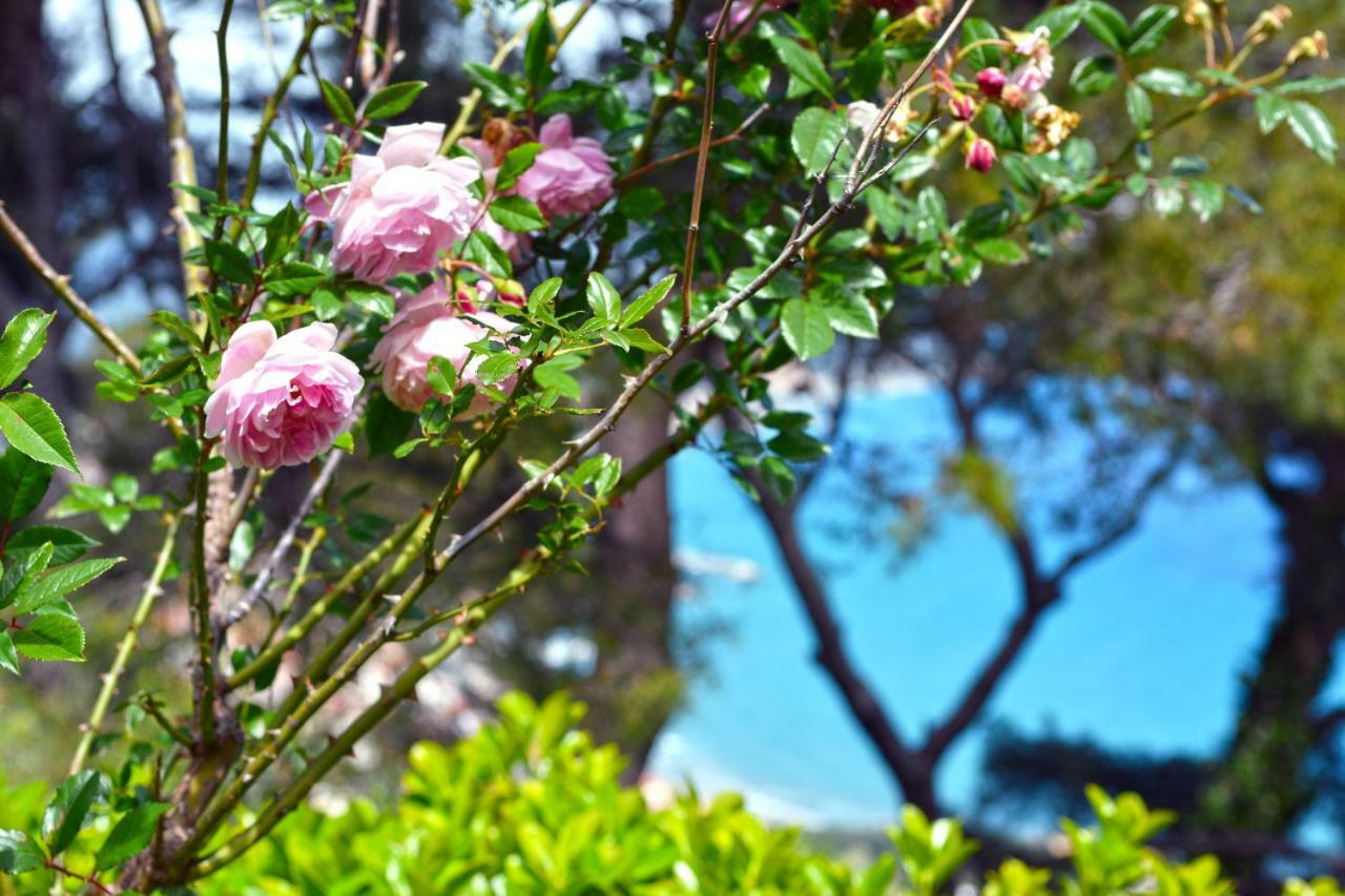 Torre Alpicella Holiday Home, A Scenic Escape Into Nature And Relaxation 迪亚诺马里纳 外观 照片